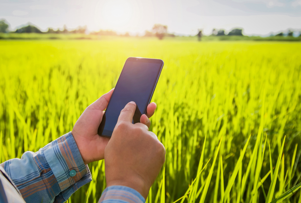 The low Earth orbit satellite systems that are now emerging are expected to revolutionize the internet and help rural families and farmers looking for remote internet.
