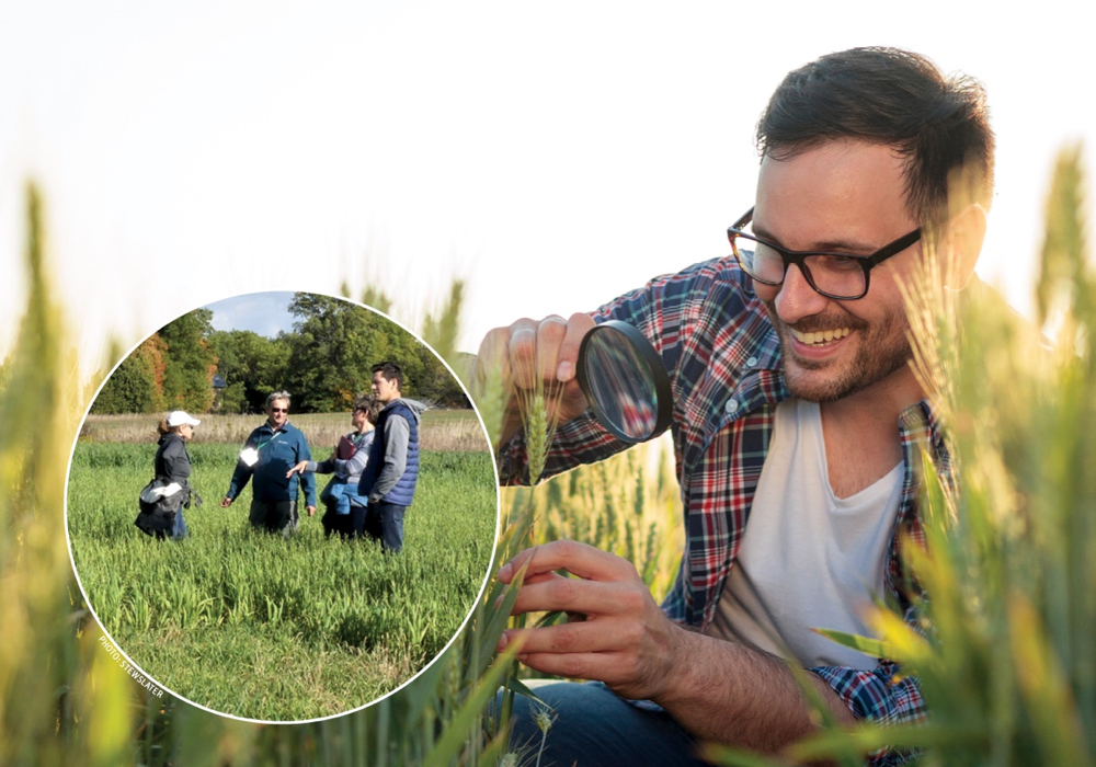 Why on-farm research continues to grow