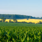 Ontario farmland continues to grow with strong prices for crops.