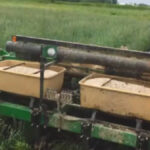 Eric Miller planted into green annual rye grass on his Iowa farm.
