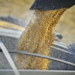 China’s sudden emergence as a major importer of the crop caught the U.S. Department of Agriculture off guard.