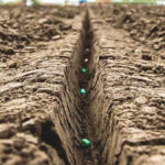 Planter functions from openers to metering to firming and closing are all focused on creating a perfect seed trench.