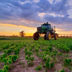 Whether to spray or not can be a difficult decision and in the end it lies with the operator.