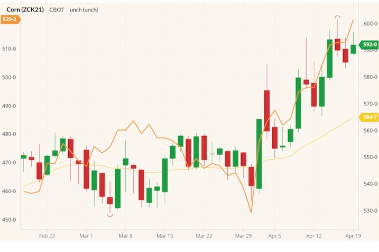 CBOT May 2021 corn (candlesticks) with 20-day moving average (yellow line) and December 2021 corn (orange line). (Barchart)
