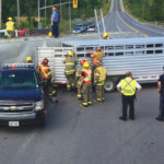 Understanding how to source the needed trailers and gates is critical to controlling a livestock accident situation.