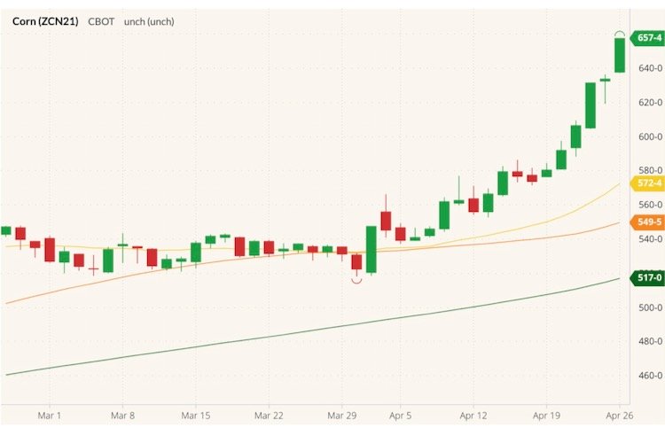 CBOT July 2021 corn (candlesticks) with 20-, 50- and 100-day moving averages (yellow, orange and dark green lines). (Barchart)
