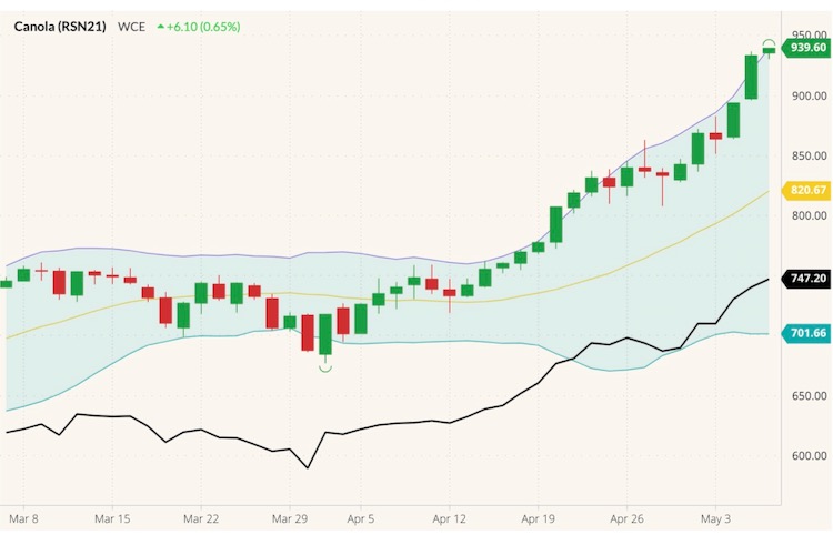 ICE July 2021 canola (candlesticks) with Bollinger (20,2) bands and November 2021 canola (black line). (Barchart)
