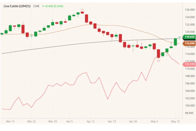 CME June 2021 live cattle (candlesticks) with 20- and 100-day moving averages (brown, black lines) and June 2021 lean hogs (pink line). (Barchart)
