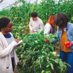 Agriculture education is needed to attract more people to the sector.