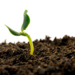 “Healthy soils are the foundation of sustainable food production, enhanced biodiversity and cleaner air and water for present and future generations.” – MP Alistair MacGregor.
