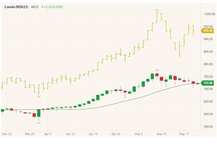 ICE November 2021 canola (candlesticks) with 20-day moving average (green line) and July 2021 canola (yellow open/high/low/close). (Barchart)
