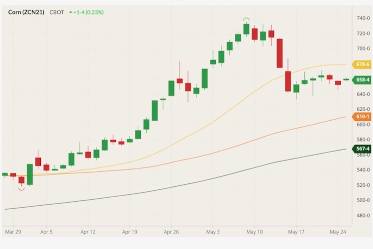 CBOT July 2021 corn (candlesticks) with 20-, 50- and 100-day moving averages (yellow, orange and green lines). (Barchart)
