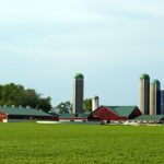 Three quarters of those surveyed who visited a working farm rated it positively at seven out of 10.