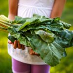 Support for Bill 216 addressing student food literacy is whipping up support