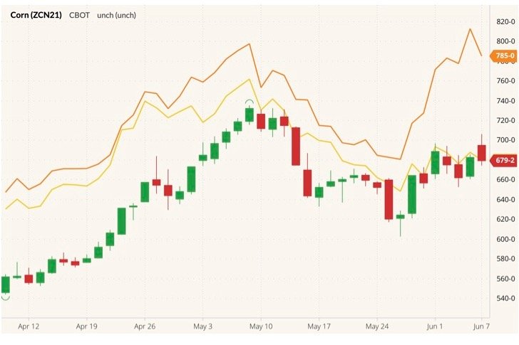 CBOT July 2021 corn (candlesticks) with CBOT July 2021 wheat (yellow line) and MGEX July 2021 spring wheat (orange line). (Barchart)
