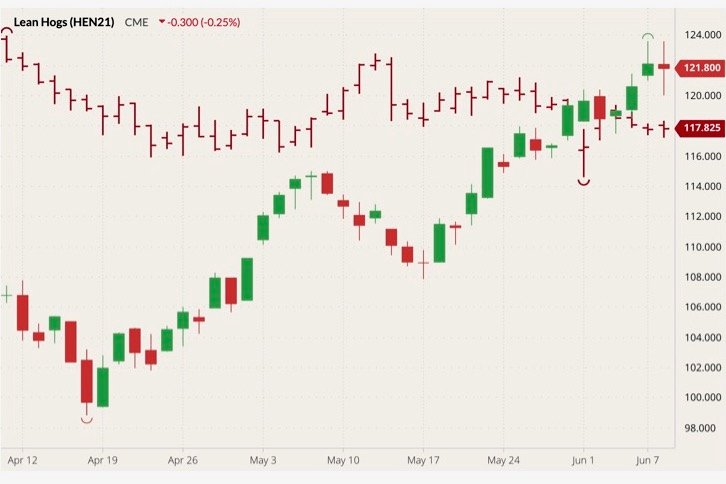 CME July 2021 lean hogs (candlesticks) with August 2021 live cattle (dark red open/high/low/close). (Barchart)
