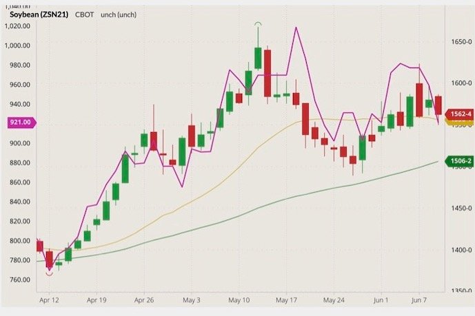 CBOT July 2021 soybeans (candlesticks) with 20- and 50-day moving averages (yellow and green lines) and CME July 2021 crude palm oil (purple line). (Barchart)

