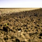 A recent report suggests that increasing soil carbon levels is one way to curb greenhouse gas emissions.