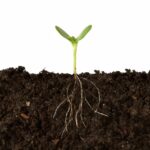 Soil road trip app ready for July 1