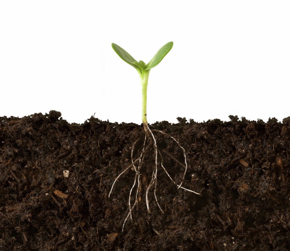 Soil road trip app ready for July 1