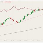 CME August 2021 lean hogs (candlesticks) with 20- and 100-day moving averages (pink and black lines) and August 2021 live cattle (dark red line). (Barchart)