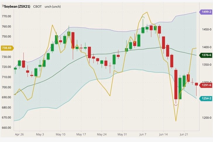 CBOT November 2021 soybeans (candlesticks) with Bollinger bands (20,2) and ICE November 2021 canola (yellow line, left column). (Barchart)
