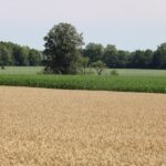 Ontario farmers, like others across the country, have been decreasing their use of the AgriStability program.