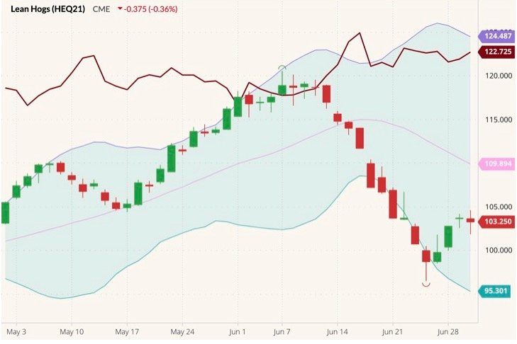 CME August 2021 lean hogs (candlesticks) with Bollinger bands (20,2) and August 2021 live cattle (dark red line). (Barchart)
