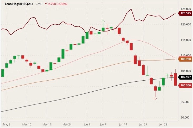 CME August 2021 lean hogs (candlesticks) with 20-, 50- and 100-day moving averages (pink, brown and black lines) and August 2021 live cattle (dark red line). (Barchart)
