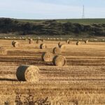 Farm debt under control, but watch for higher interest rates