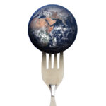 Opinion: Expectations should be low for UN food summit
