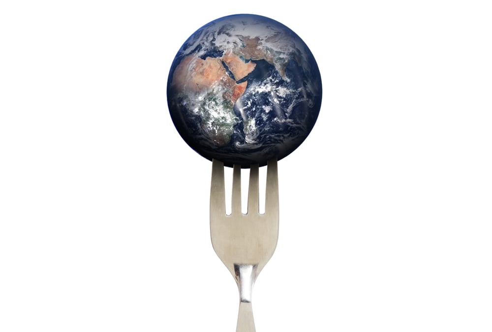 Opinion: Expectations should be low for UN food summit