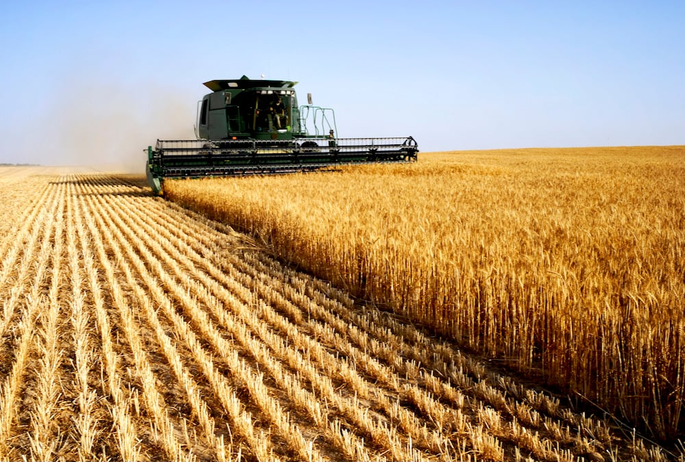 Avoiding junk food can help maintain energy levels and nutrition during harvest.