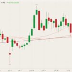 CME August 2021 live cattle with 20-, 50- and 100-day moving averages (pink, brown and dark red lines). (Barchart)