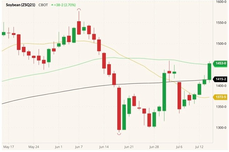 CBOT August 2021 soybeans with 20-, 50- and 100-day moving averages (yellow, green and black lines). (Barchart)
