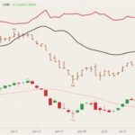CME October lean hogs (candlesticks) with 20-day moving average (pink line), CME lean hog index (black line), CME August 2021 lean hogs (brown O/H/L/C) and CME October 2021 live cattle (dark red line). (Barchart)