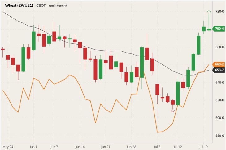 CBOT September 2021 wheat (candlesticks) with 20-day moving average (black line) and K.C. September 2021 wheat (orange line). (Barchart)
