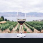 Province launches Winery Agri-Tourism Relief Initiative