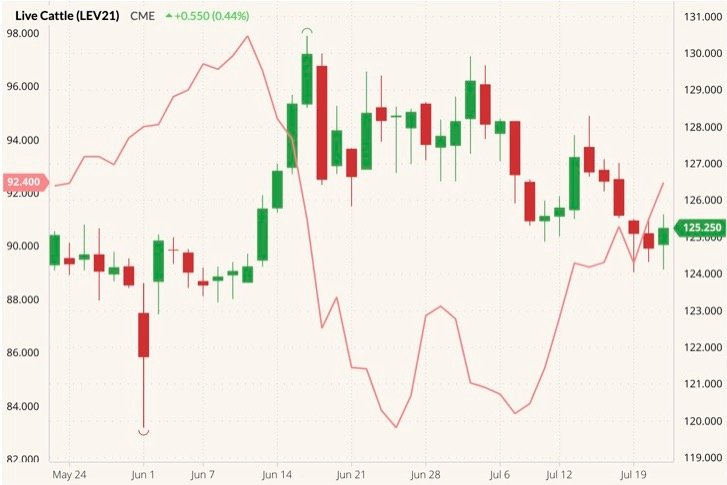 CME October 2021 live cattle (candlesticks) with October 2021 lean hogs (pink line, left column). (Barchart)
