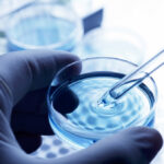 Although Canada has the potential to lead in the cellular sector, it lacks significant investment in engineering biology education or research.