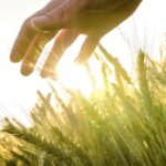 Opinion: Stop selling false hope for historical carbon efforts