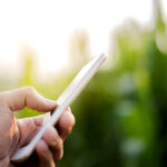 New app helps farmers weigh options for cropping decisions