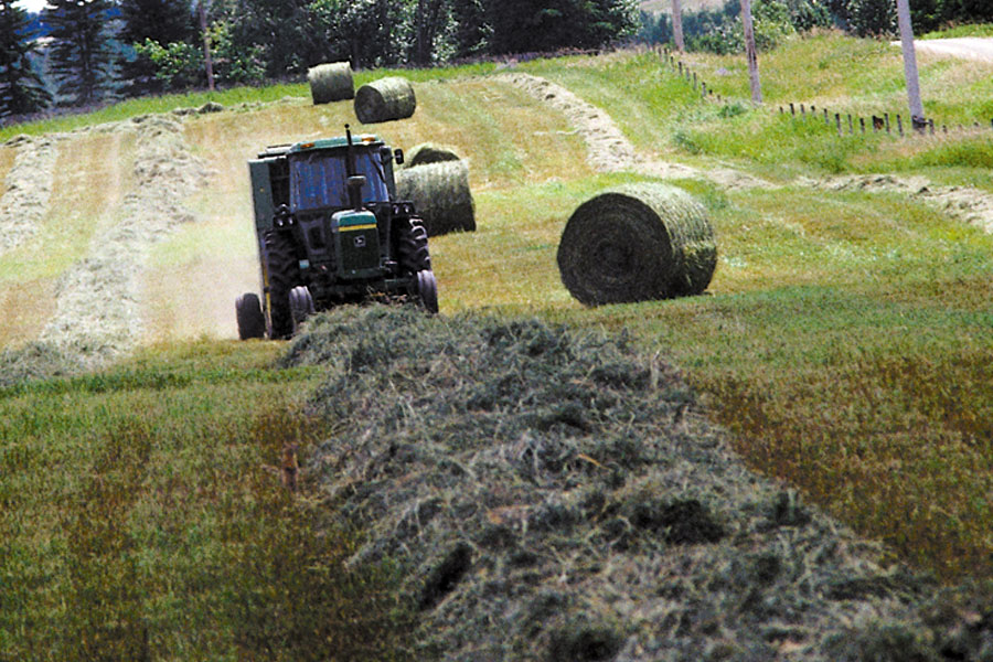 Editorial: Time for another Hay West?