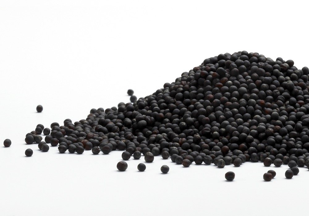 Photo: iStock
