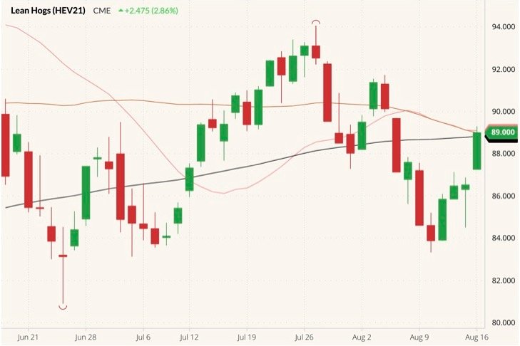 CME October 2021 lean hogs (candlesticks) with 20-, 50- and 100-day moving averages (pink, brown and black lines). (Barchart)
