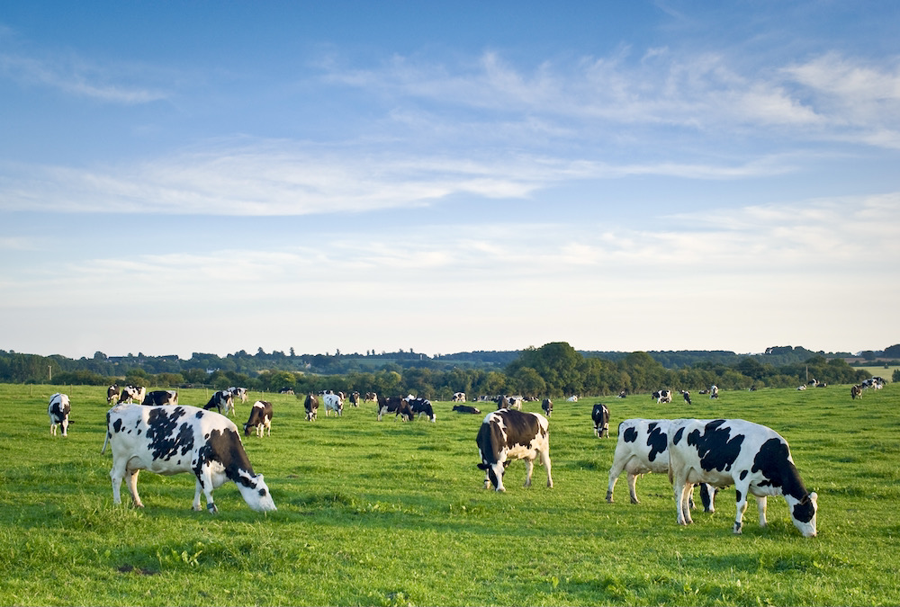 Canadian dairy farmers continue to run a public image campaign aiming to convince the public that producing milk enhances environmental sustainability.