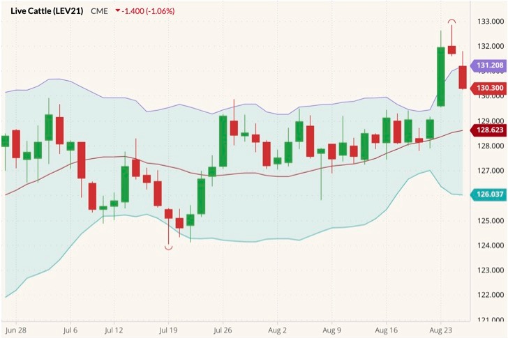 CME October 2021 live cattle (candlesticks) with Bollinger bands (20,2). (Barchart)
