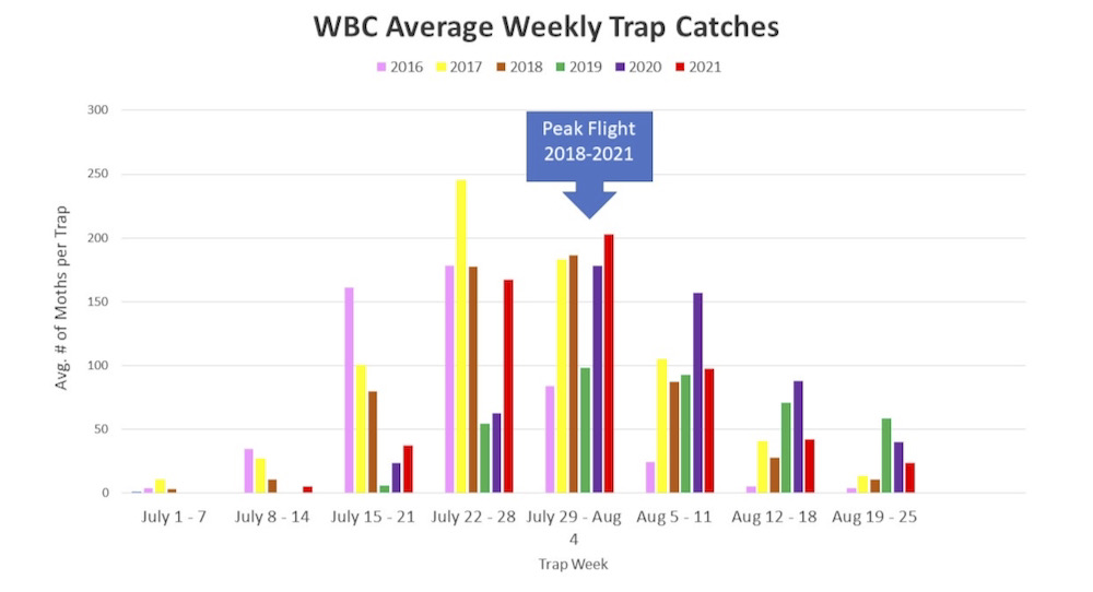 Figure 1. Weekly WBC trap catches for Ontario. Peak flight occurred during the week of July 29th to August 4th.