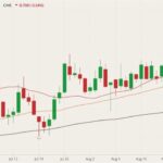 CME October 2021 live cattle (candlesticks) with 20-, 50- and 100-day moving averages (red, brown and black lines). (Barchart)