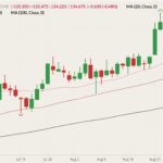 CME December 2021 live cattle (candlesticks) with 20-, 50- and 100-day moving averages (pink, brown and black lines). (Barchart)
